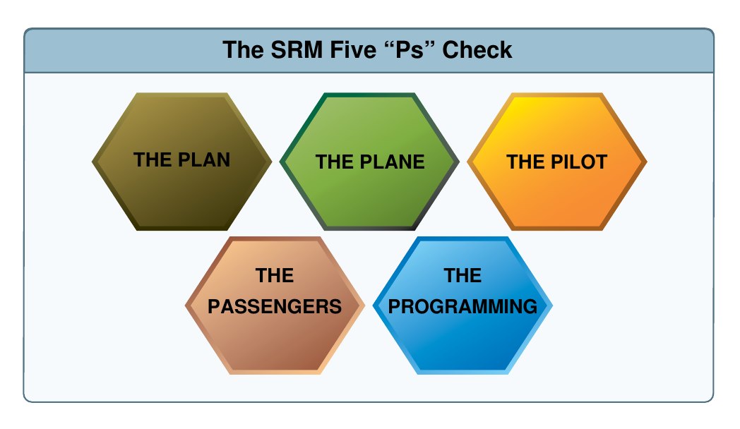 Five hexagons labelled The Plan, The Plane, The Pilot, The Passengers and The Programming, under the heading The SRM Five Ps Check.