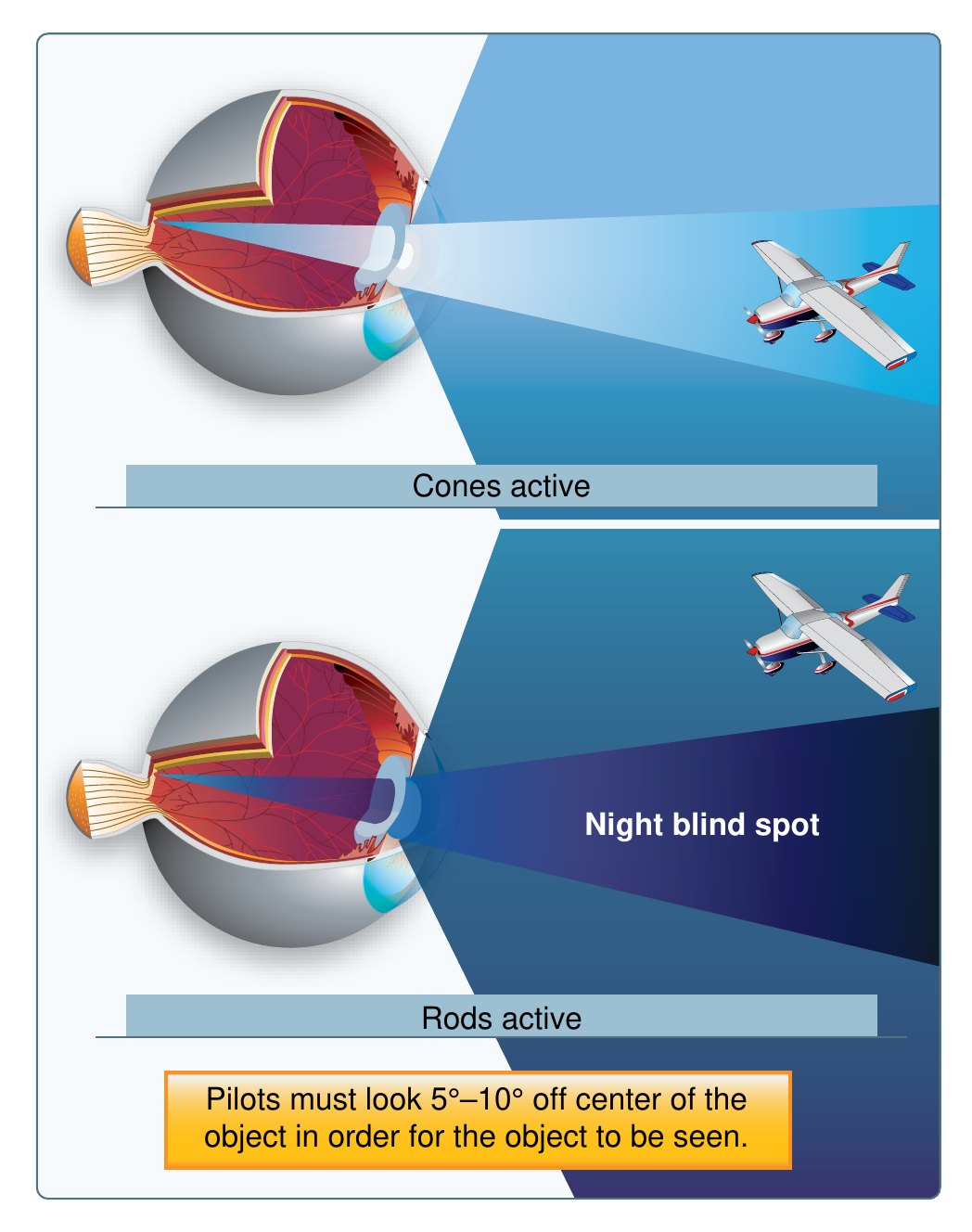 Two panels of the eye viewing an aircraft. In the upper panel, in daylight, the cones are active and the aircraft is seen when looked at directly. In the lower panel, at night, the rods are active and a dark wedge labelled night blind spot sits at the centre of vision, hiding the aircraft that is looked at directly. A note reads: pilots must look 5 to 10 degrees off centre of the object in order for the object to be seen.