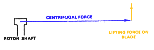 Side-view diagram of a single rotor blade in flight. Lift acts upward perpendicular to the disc; centrifugal force acts outward along the blade's span. The blade bends slightly upward as it balances both forces.