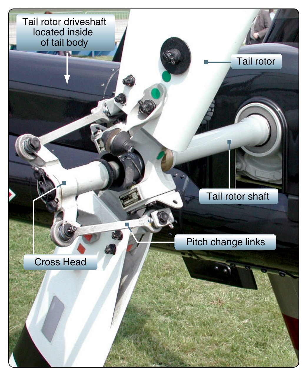 Close-up photograph of a tail rotor head with callouts labelling the tail rotor driveshaft inside the tail body, the tail rotor shaft, the cross head, the pitch change links, and the tail rotor itself.